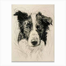 Border Collie Dog Line Sketch 1 Canvas Print