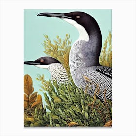 Common Loon Haeckel Style Vintage Illustration Bird Canvas Print