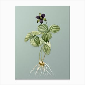 Vintage Trillium Rhomboideum Botanical Art on Mint Green n.0607 Canvas Print
