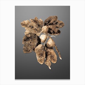 Gold Botanical Common Fig on Soft Gray Canvas Print