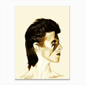 David Bowie 13 Canvas Print