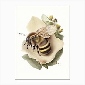 Hibernation Bee 2 Vintage Canvas Print