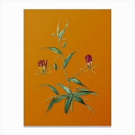 Vintage Flame Lily Botanical on Sunset Orange n.0716 Canvas Print