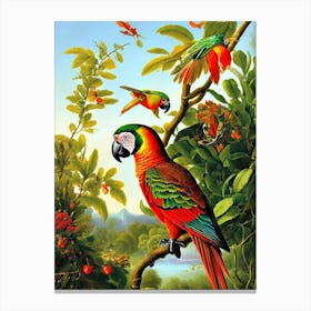 Parrot Haeckel Style Vintage Illustration Bird Canvas Print