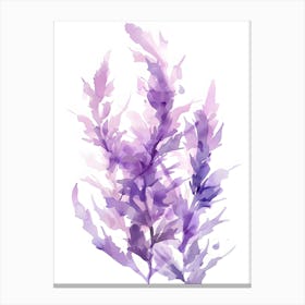 Watercolor Seaweed Illustration 1 Canvas Print