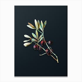Vintage Olive Tree Branch Botanical Watercolor Illustration on Dark Teal Blue n.0588 Canvas Print