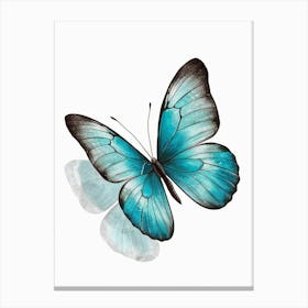 Blue Butterfly Canvas Print Canvas Print