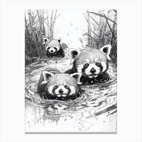 Red Panda Family Swimming Ink Illustration A River Ink Illustration 4 Canvas Print