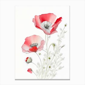 Poppy Floral Quentin Blake Inspired Illustration 5 Flower Canvas Print