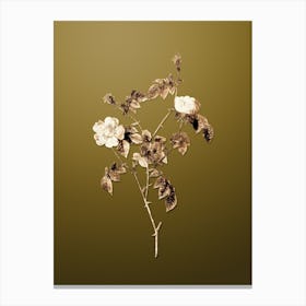 Gold Botanical Pink Austrian Copper Rose on Dune Yellow n.1511 Canvas Print