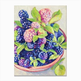 Marionberry 1 Vintage Sketch Fruit Canvas Print