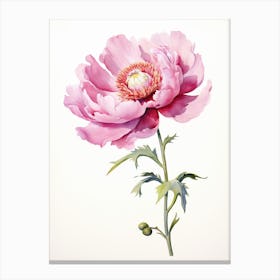 Peony Wildflower At Dawn In Watercolor (2) Canvas Print