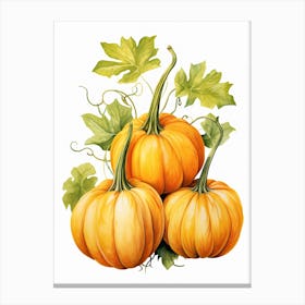 Lumina Pumpkin Watercolour Illustration 4 Canvas Print