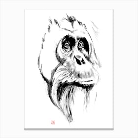 Orangutan 1 Canvas Print