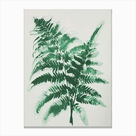 Green Ink Painting Of A Button Fern 4 Canvas Print