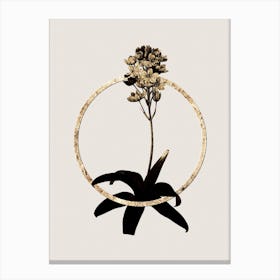 Gold Ring Sun Star Glitter Botanical Illustration Canvas Print