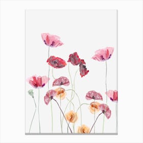 Poppies Canvas Print