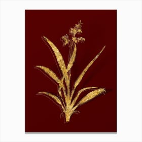 Vintage Flax Lilies Botanical in Gold on Red n.0030 Canvas Print