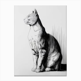 Cat Sitting 4 Canvas Print