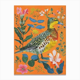 Spring Birds Canvasback 2 Canvas Print