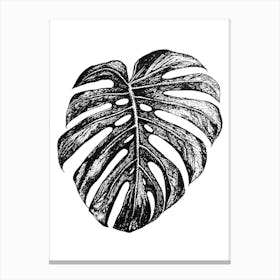 Black and White Monstera Leaf Illustration Canvas Print