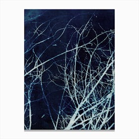 Twigs In Winter Canvas Print