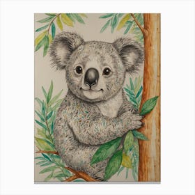 Koala 30 Canvas Print