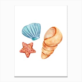 Colored seashells. Seashells. Summer.4 Canvas Print