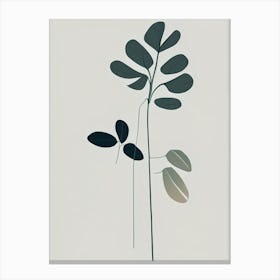 Lovage Herb Simplicity Canvas Print