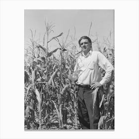 Ernest W Kirk Jr, Successful Fsa (Farm Security Administration) Client Of Ordway, Colorado, Standing In The Midst Canvas Print