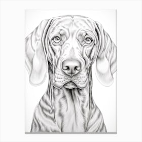 Weimaraner Dog, Line Drawing 4 Canvas Print