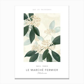 Elderberries Le Marche Fermier Poster 1 Canvas Print