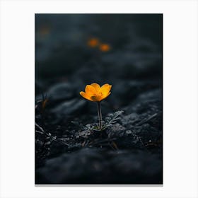 Single Yellow Flower 57 Canvas Print