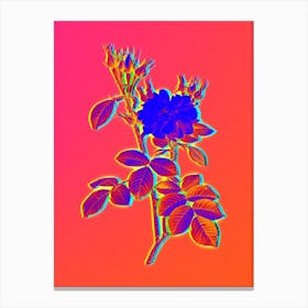 Neon Autumn Damask Rose Botanical in Hot Pink and Electric Blue Canvas Print