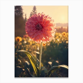 Dahlia Flower Canvas Print