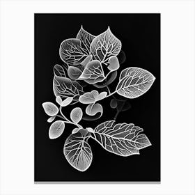 Purslane Leaf Linocut 2 Canvas Print