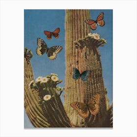Butterflies 2 Canvas Print