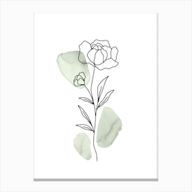 Botanical Line Art, Peony Boho Minimalist in Sage Green, Watercolor Canvas Print