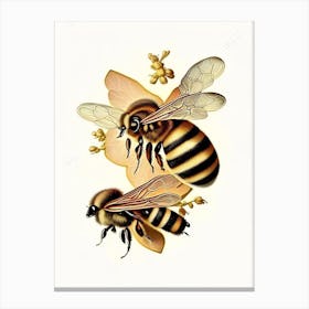 Wax Bees 1 Vintage Canvas Print