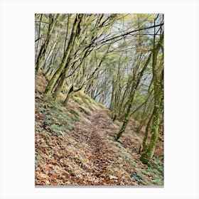 Serene Forest Pathway with Stream in Orobie Alps. This image captures a tranquil forest scene with a small stream flowing through it. The forest is dense with trees, some of which are covered in moss and ivy. The ground is littered with fallen leaves, and the stream is bordered by rocks and vegetation. The overall atmosphere is peaceful and serene, making it a perfect representation of untouched natural beauty 2 Canvas Print