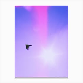 Bird In The Sky Canvas Print