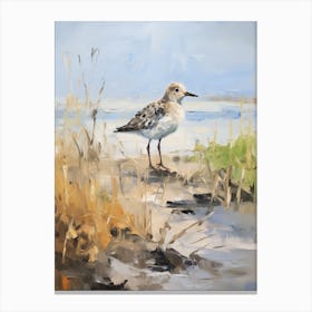 Bird Painting Grey Plover 4 Canvas Print