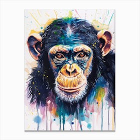 Chimpanzee Colourful Watercolour 1 Canvas Print