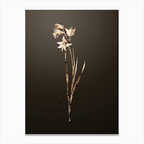 Gold Botanical Painted Lady on Chocolate Brown n.2531 Canvas Print
