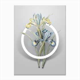 Vintage Spanish Iris Minimalist Botanical Geometric Circle on Soft Gray n.0215 Canvas Print