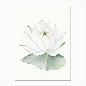 White Lotus Pencil Illustration 1 Canvas Print