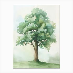Mahogany Tree Atmospheric Watercolour Painting 7 Canvas Print