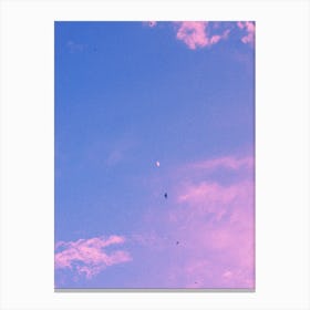 And the moon Canvas Print