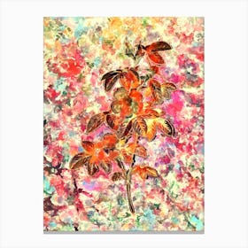 Impressionist Single May Rose Botanical Painting in Blush Pink and Gold Canvas Print