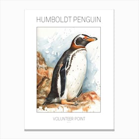 Humboldt Penguin Volunteer Point Watercolour Painting 4 Poster Canvas Print